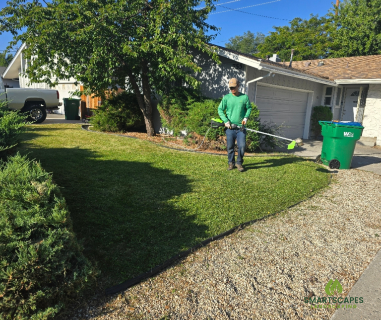 Transform Your Yard with Artificial Turf and Eco-Designs